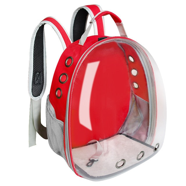 Clear Pet Backpack